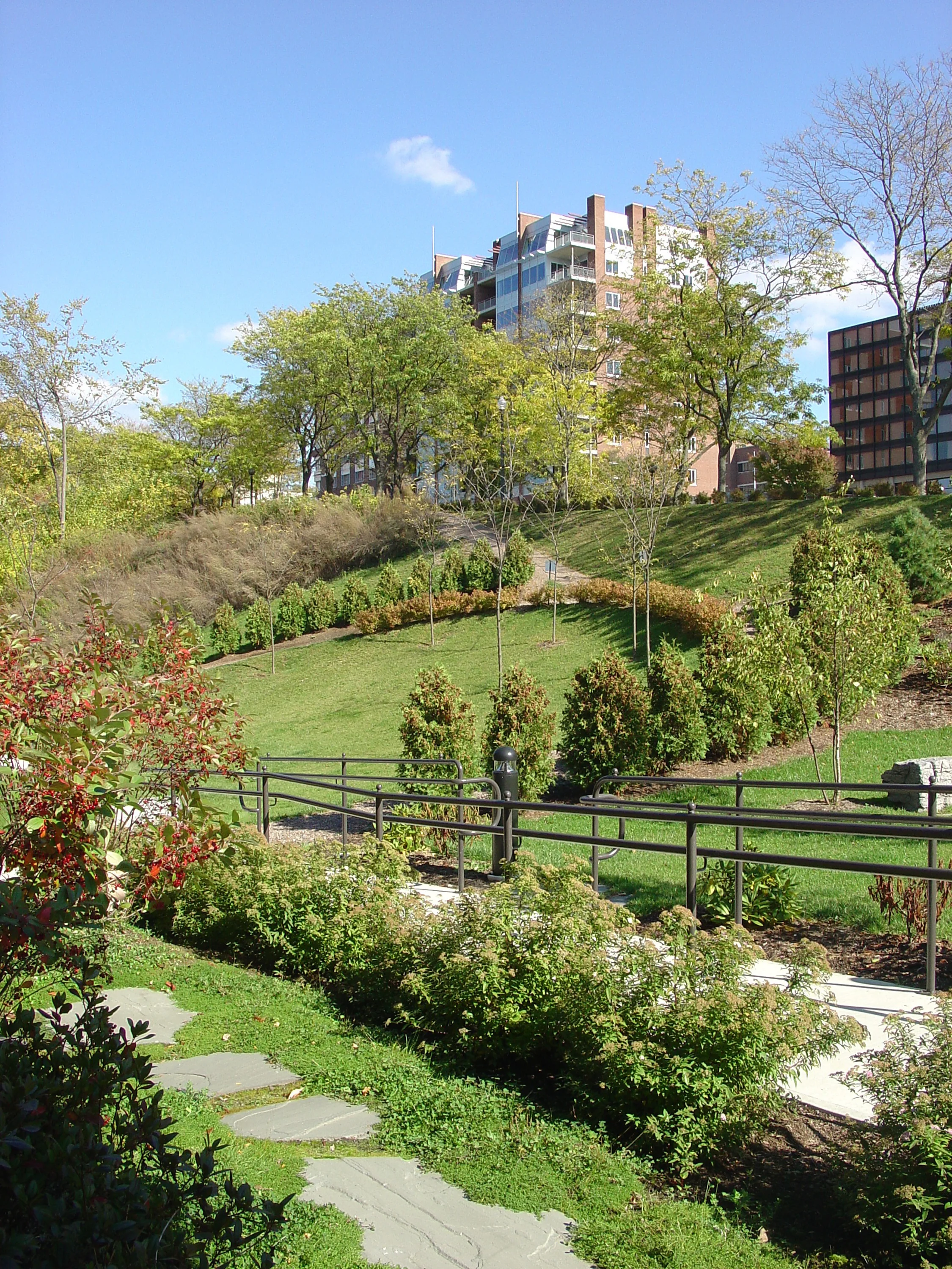 11 Lake and College.jpg