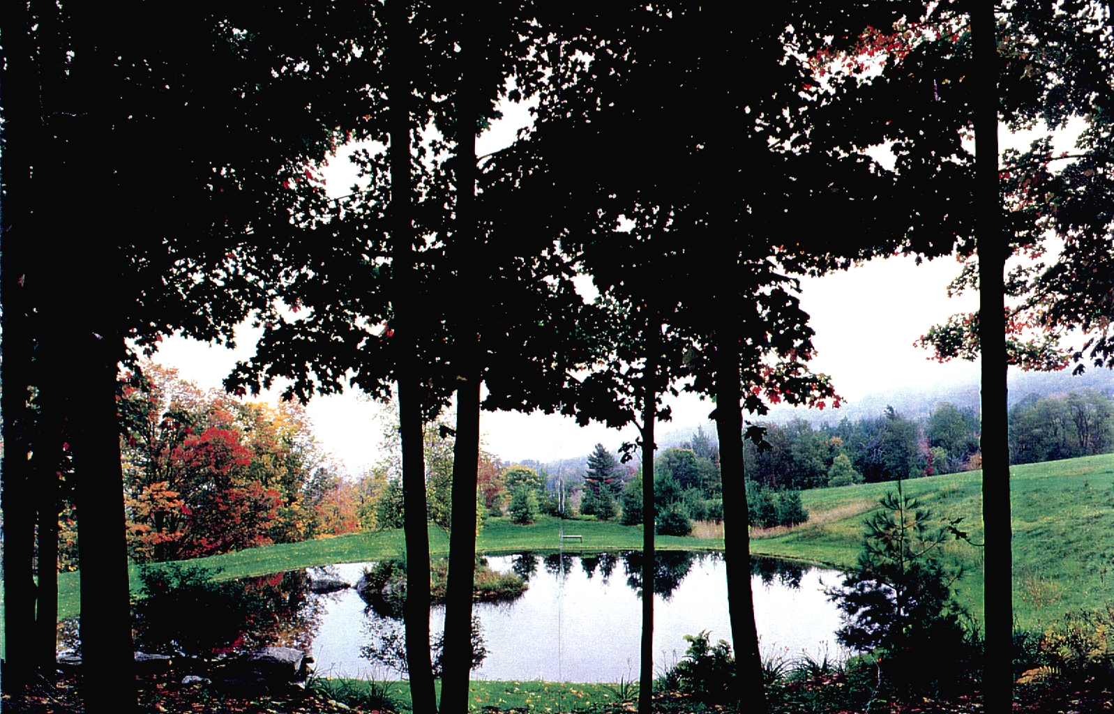 02-17-99 Photo - pond.jpg