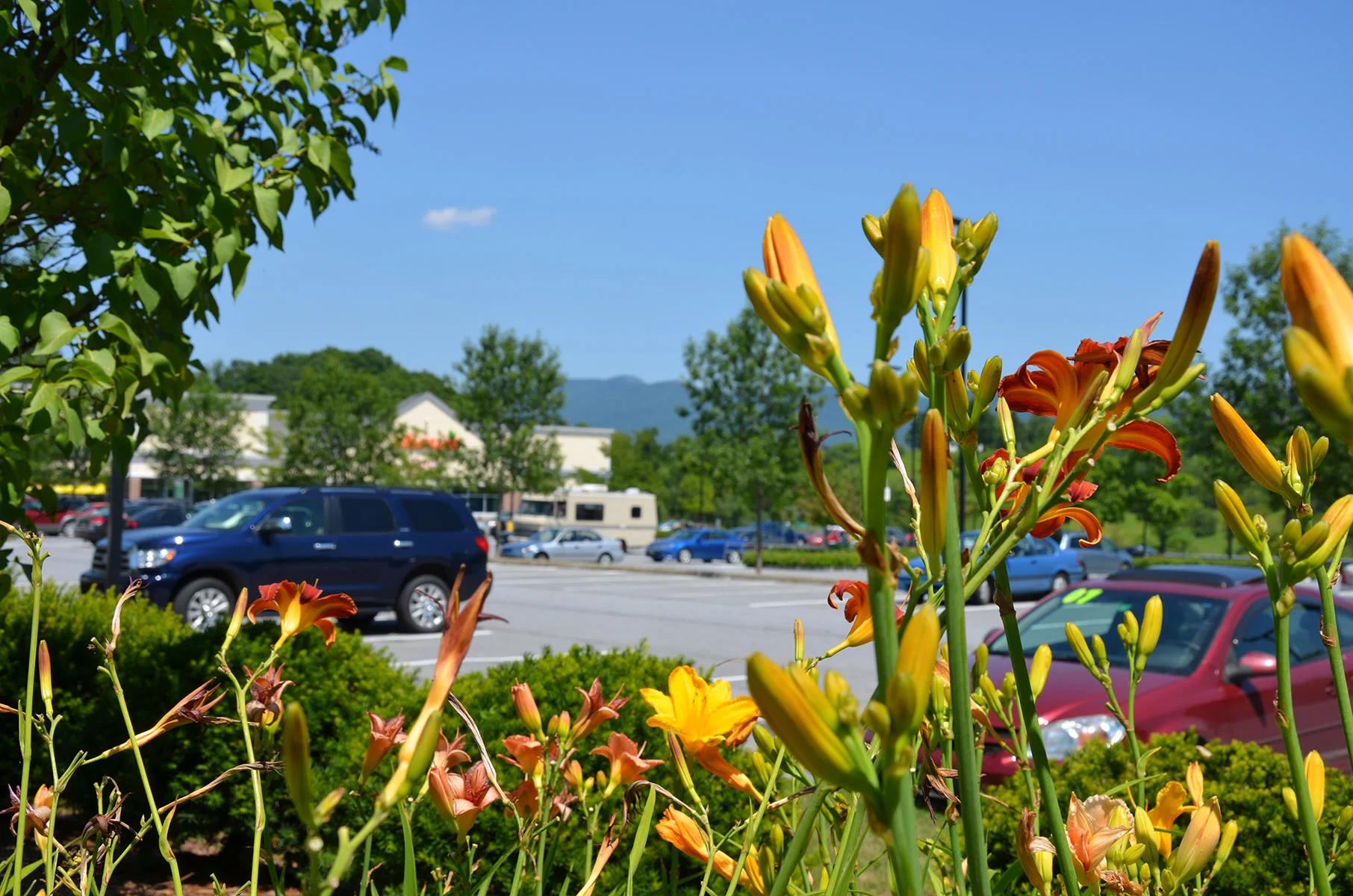 TJB_0368.JPG