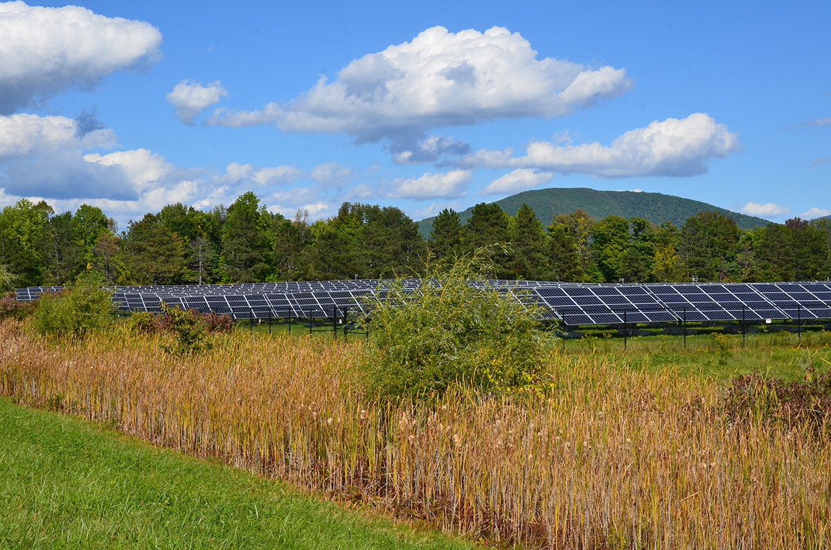 2016 Clarendon Solar_.jpg