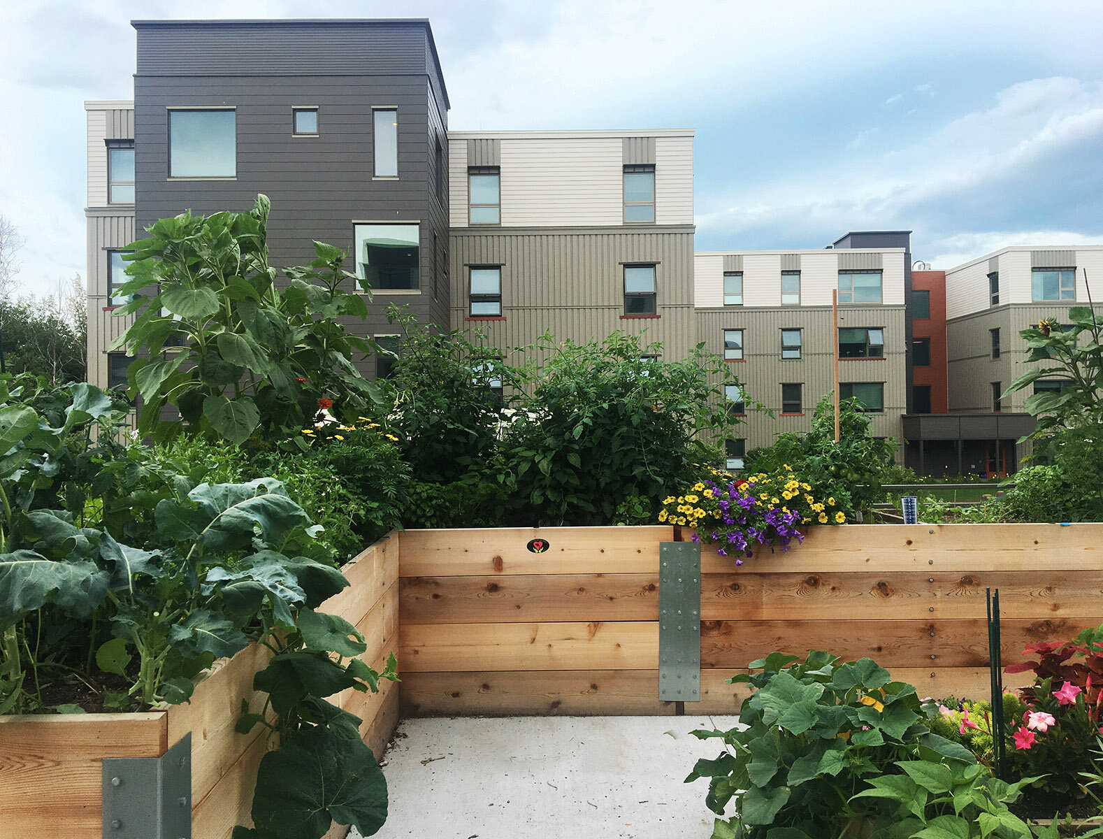 2021 Juniper community garden.jpg