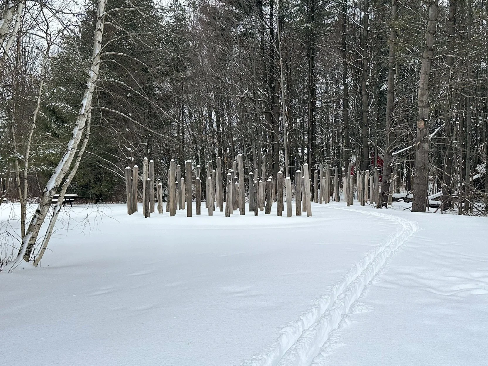 2025 The-Annex-Sculpture-Park-Winter_-5.jpg