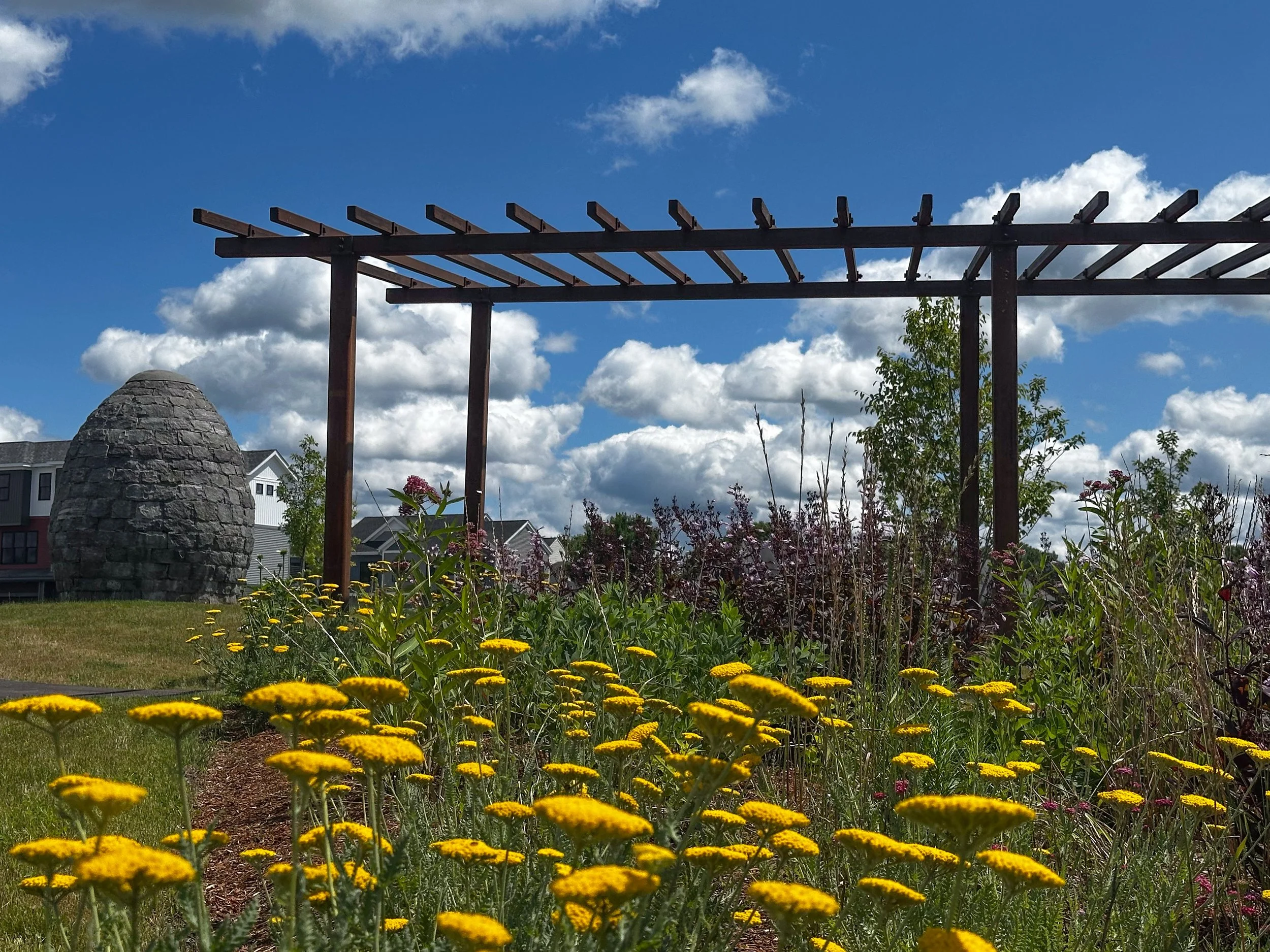 2025-07 The-Annex-Sculpture-Park_-8.jpg