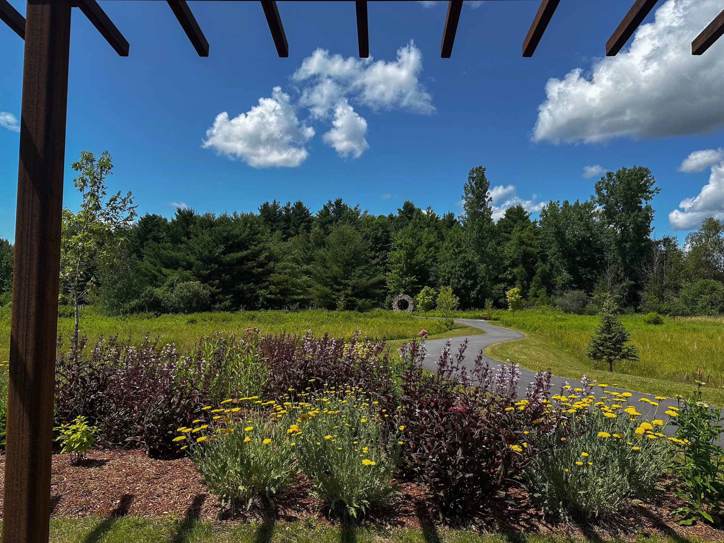 2025-07 The-Annex-Sculpture-Park_-10.jpg