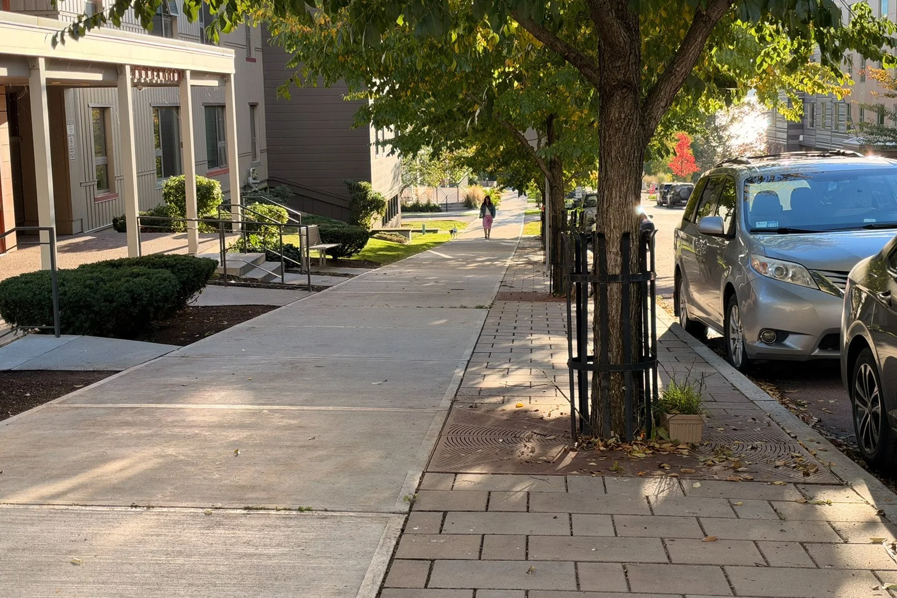 2026-Website-gallery-SouthRdSidewalk.jpg