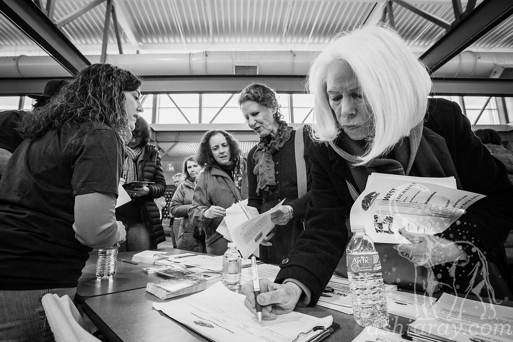 031917_activism_training_NHS-001.jpg