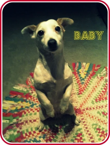 baby.jpeg