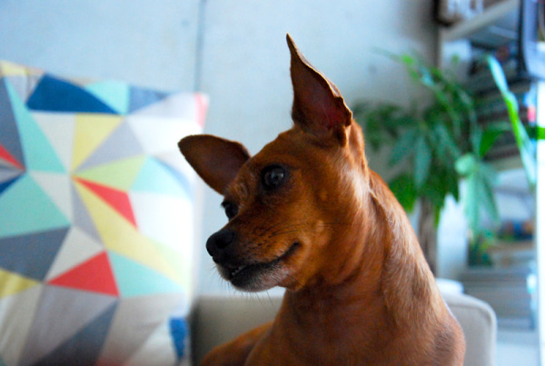 lola-01.jpg