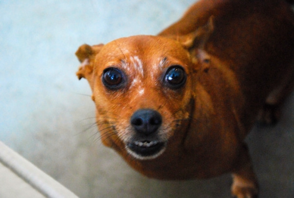 lola-08.jpg