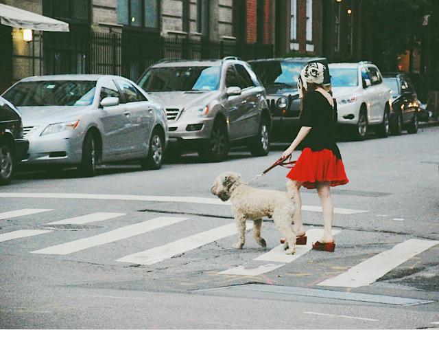 nyc01.png