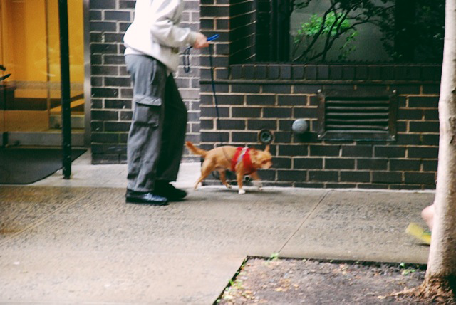 nyc04.png