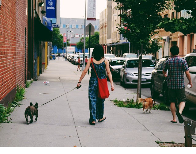 nyc05.png