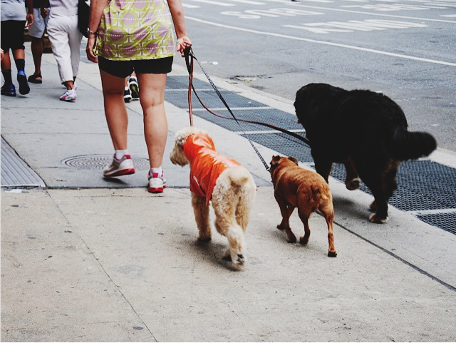 nyc07.png