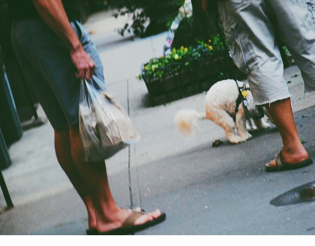 nyc16.png