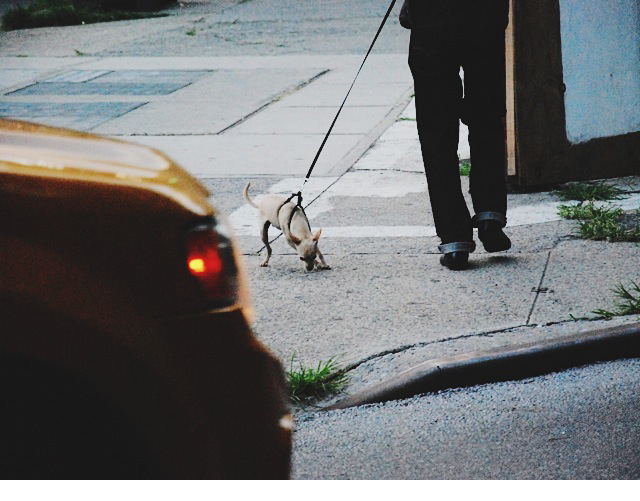 nyc20.png