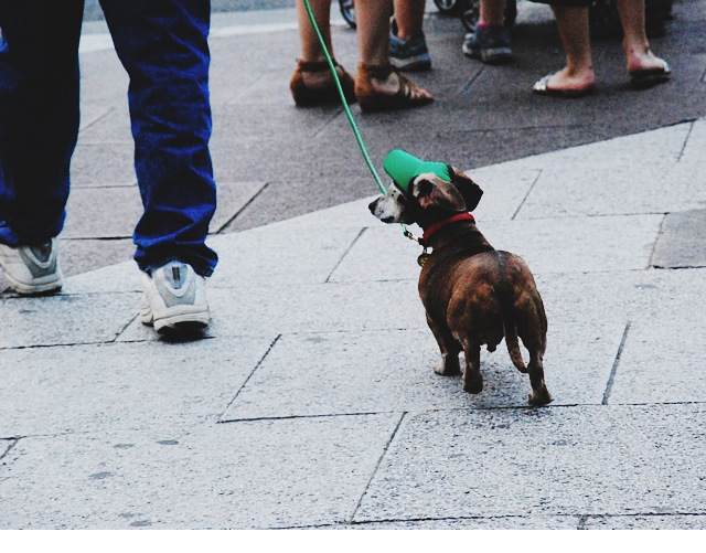 nyc21.png