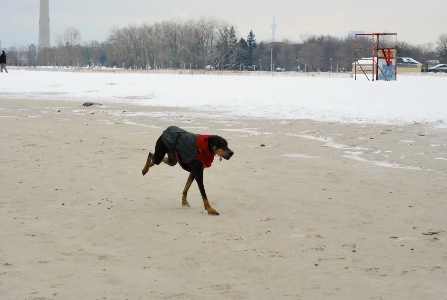DSC_6169.jpg