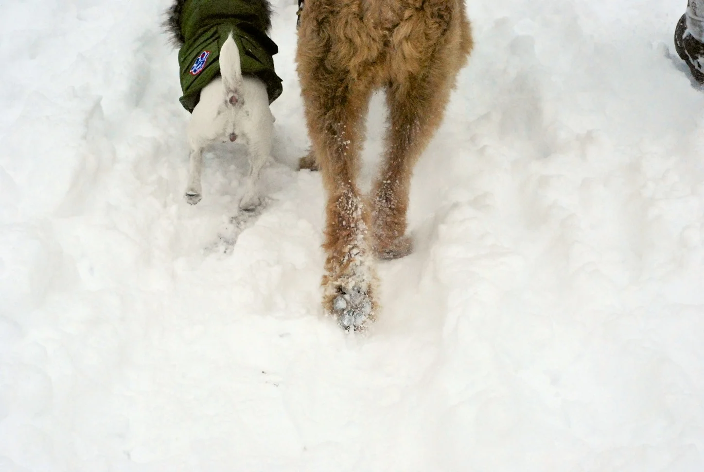 DSC_6198.jpg
