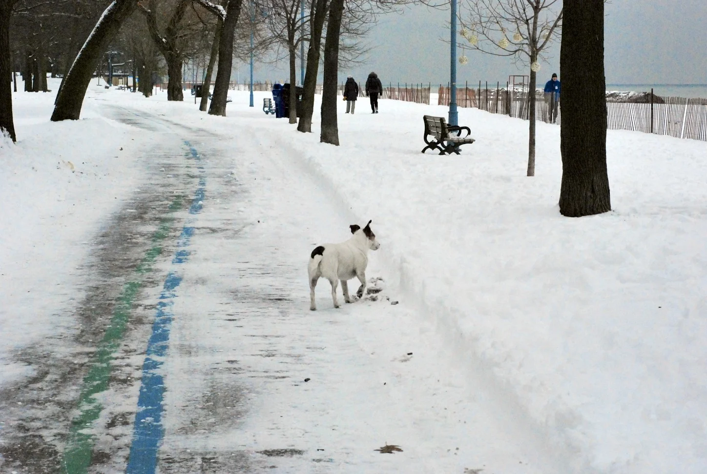 DSC_6218.jpg