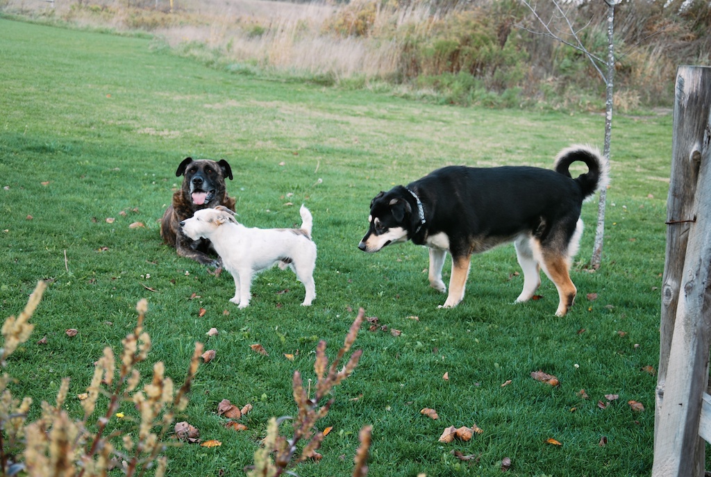 DSC_8161.jpg