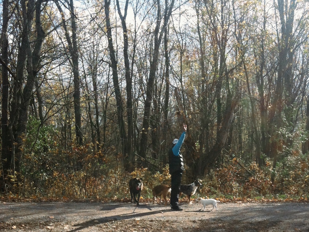 Sending love as Vega leaves us. This was a very happy day for everyone