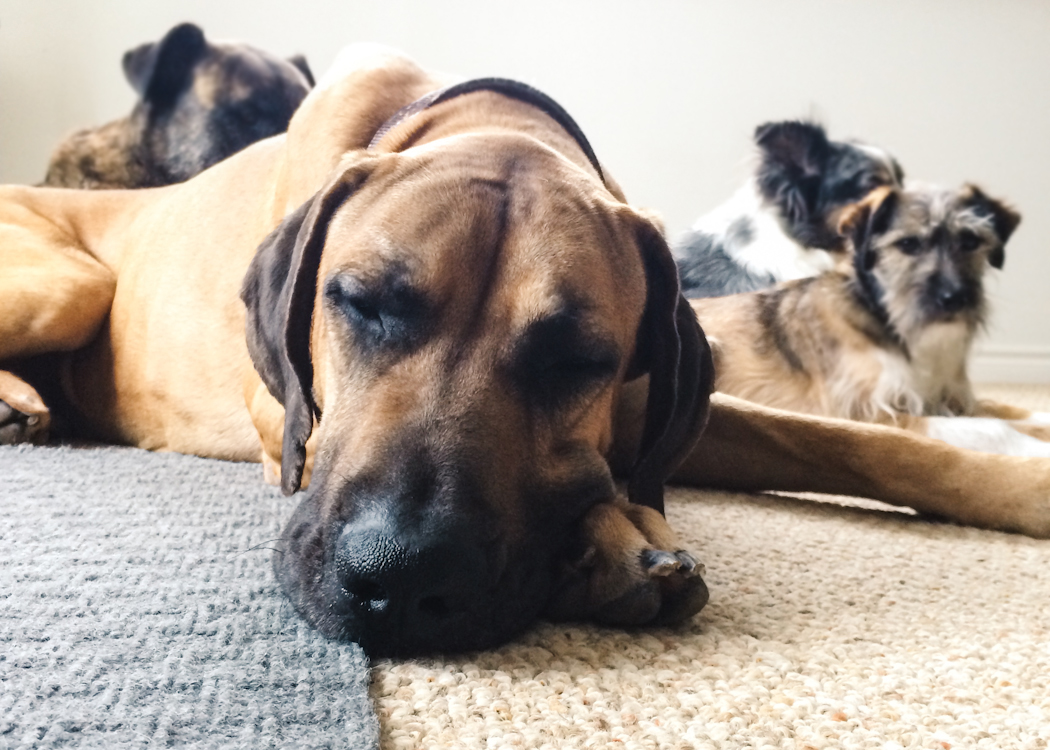 winstonstory-21.jpg