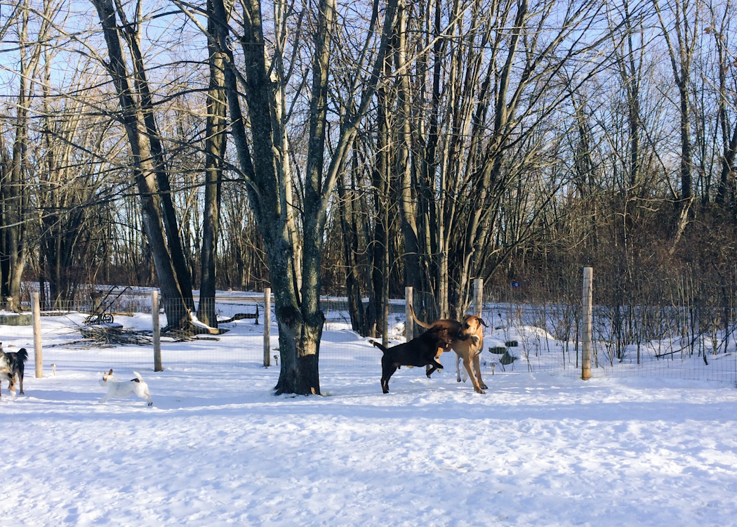 winstonstory-25.jpg