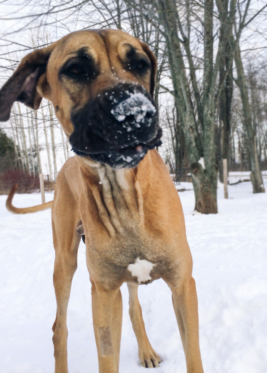 winstonstory-26.jpg
