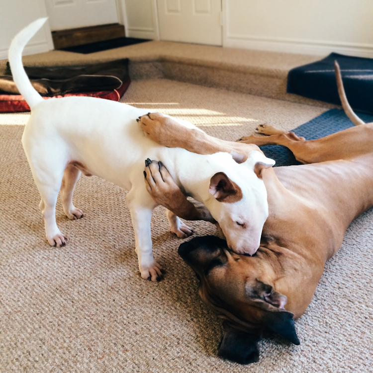 winstonstory-28.jpg