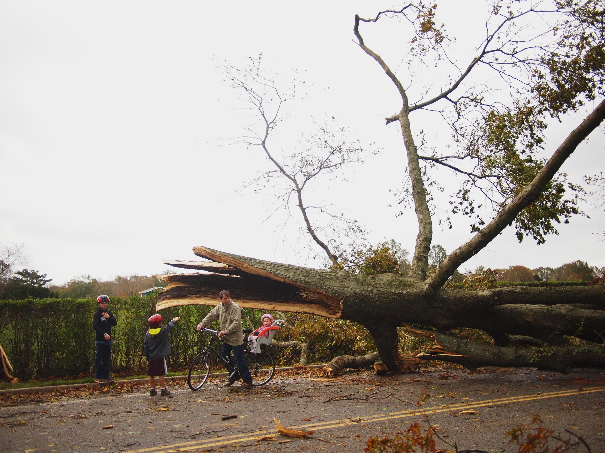 Trees down all over our neighborhood.