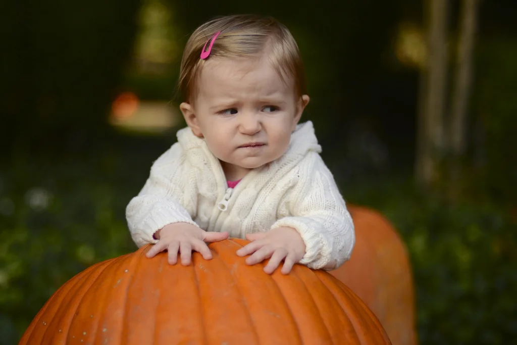Grumpy at the Pumpkin Patch