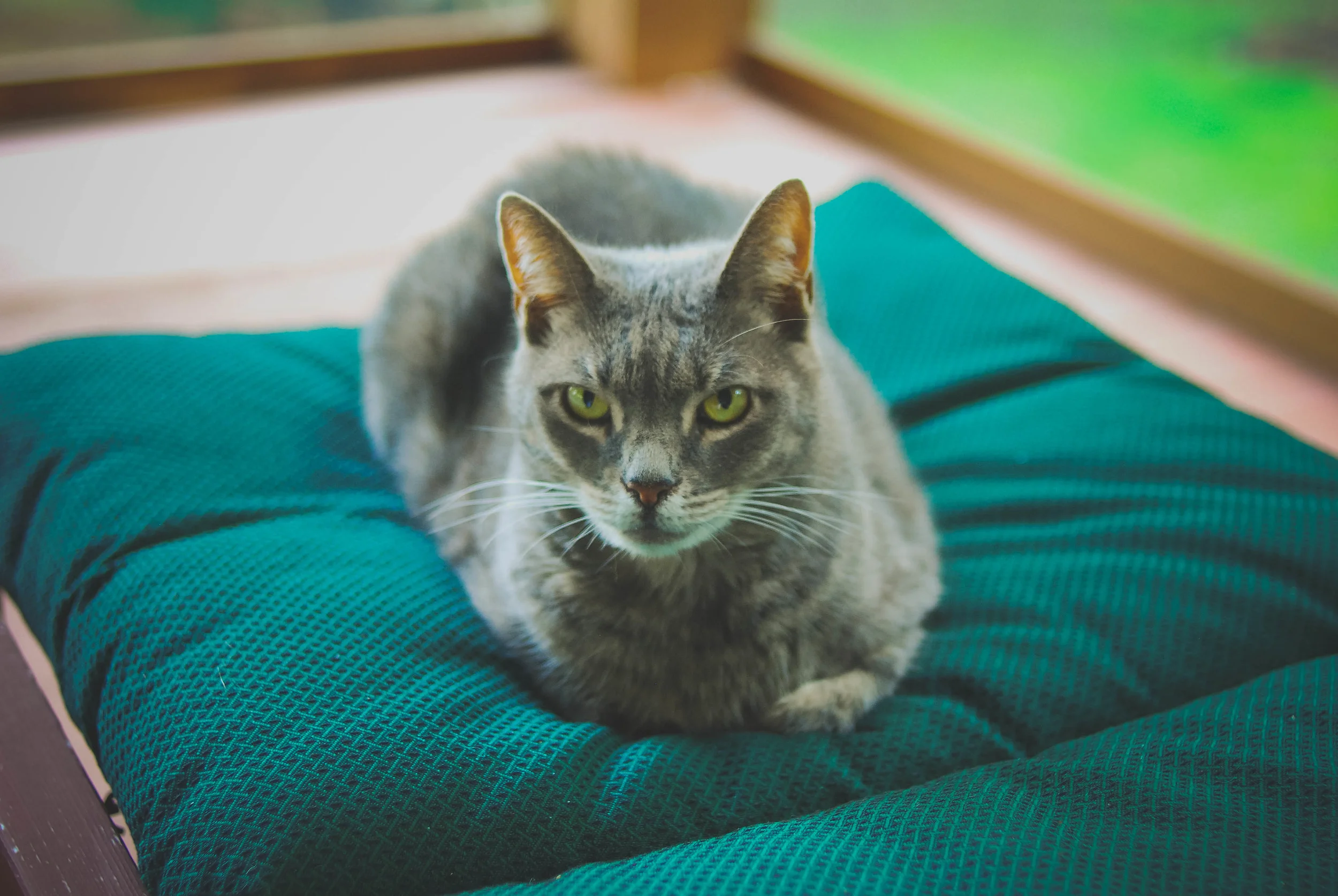 20130813-DSC_0138.jpg