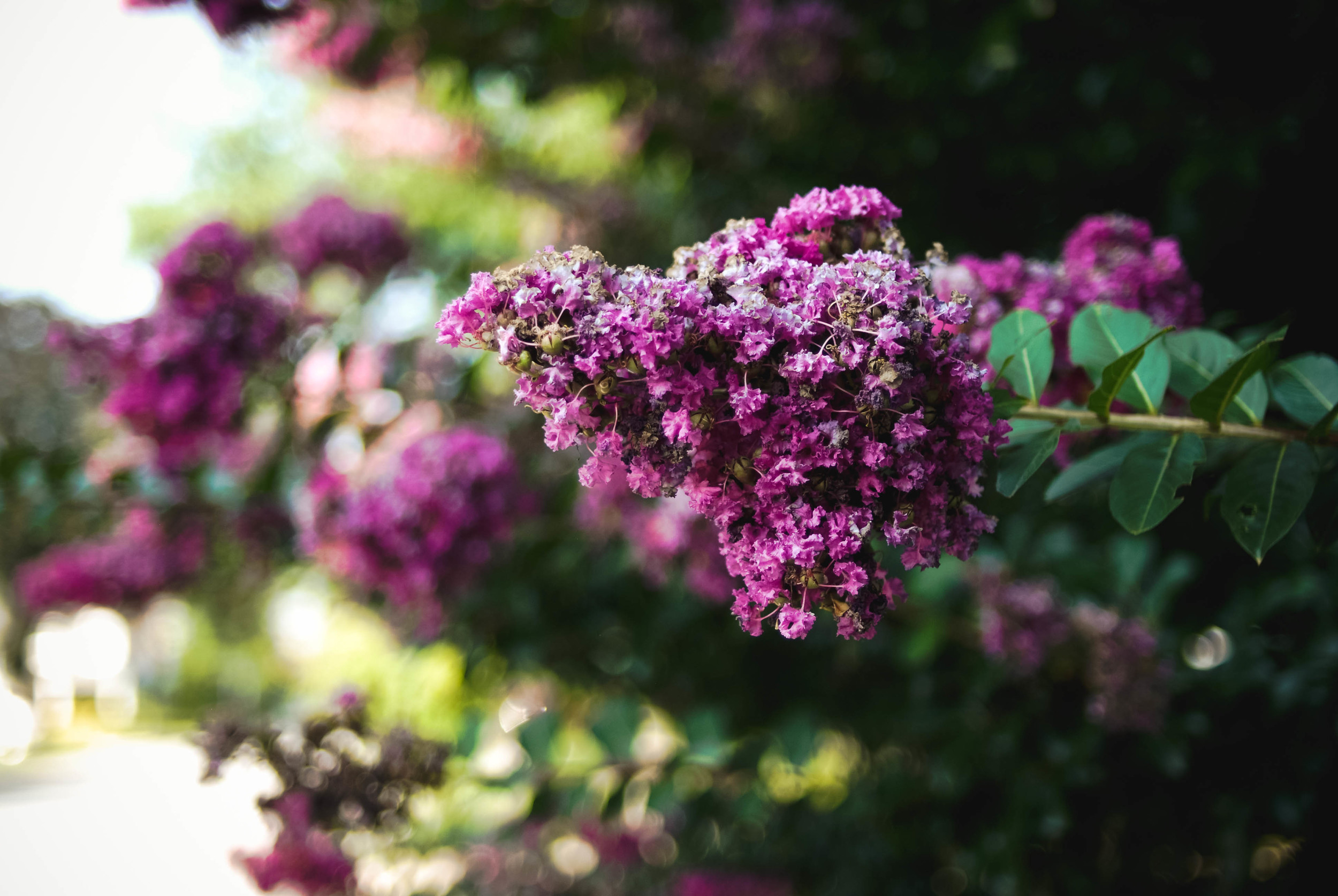 20130820-DSC_0054.jpg