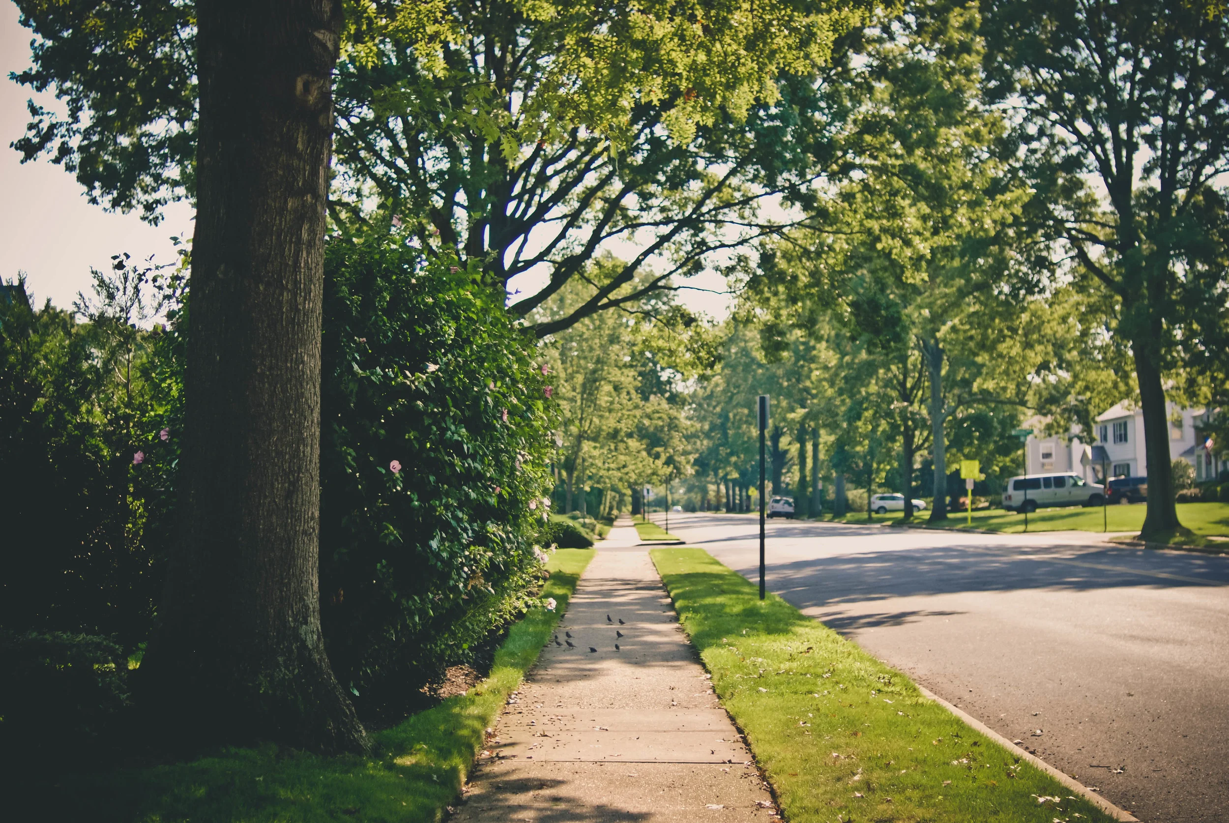 20130820-DSC_0060.jpg