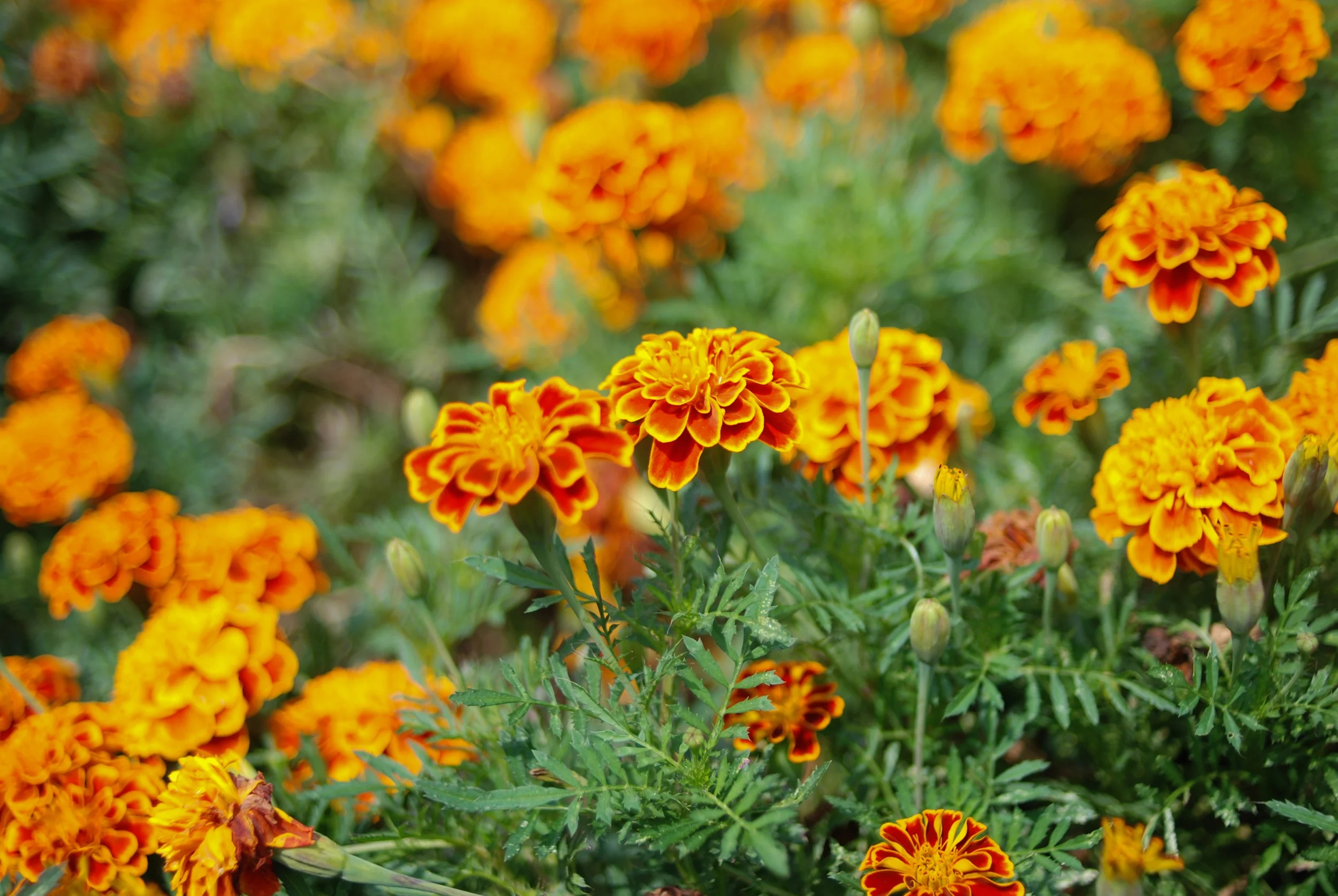 blog-0205.jpg