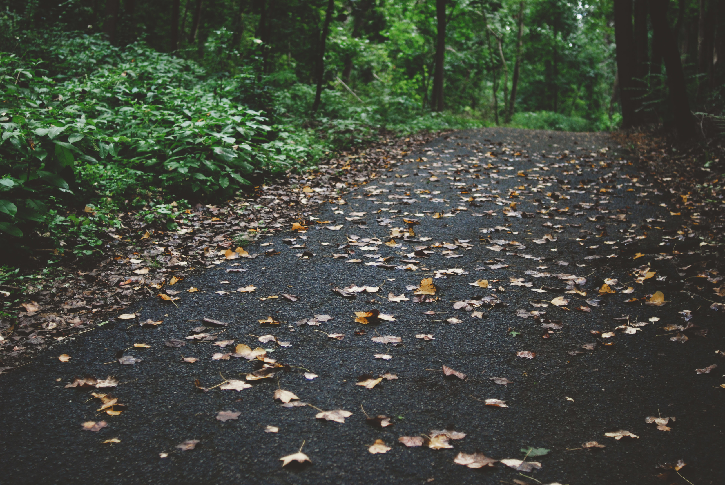 blog-0003.jpg