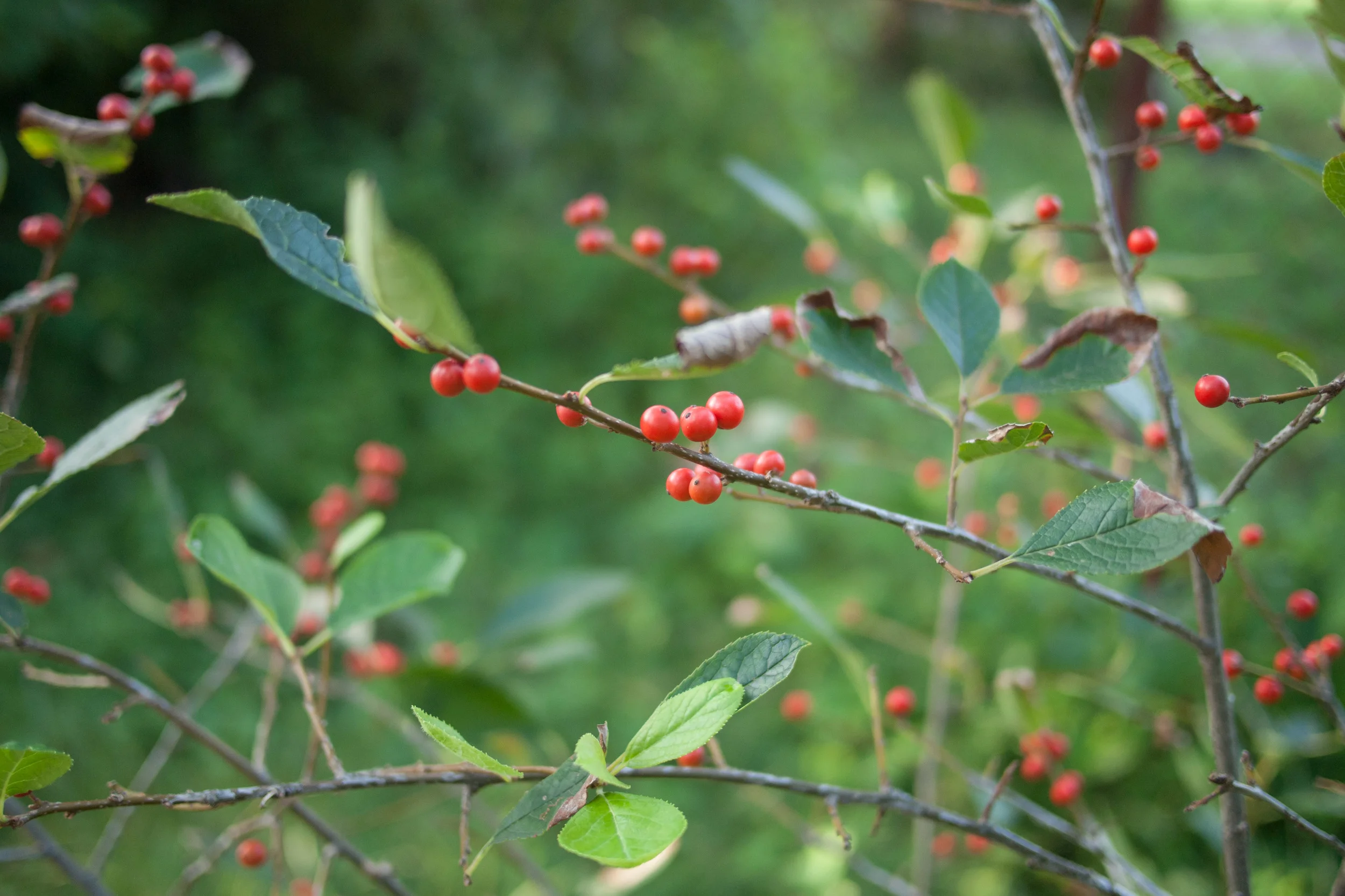 blog-9108536.jpg