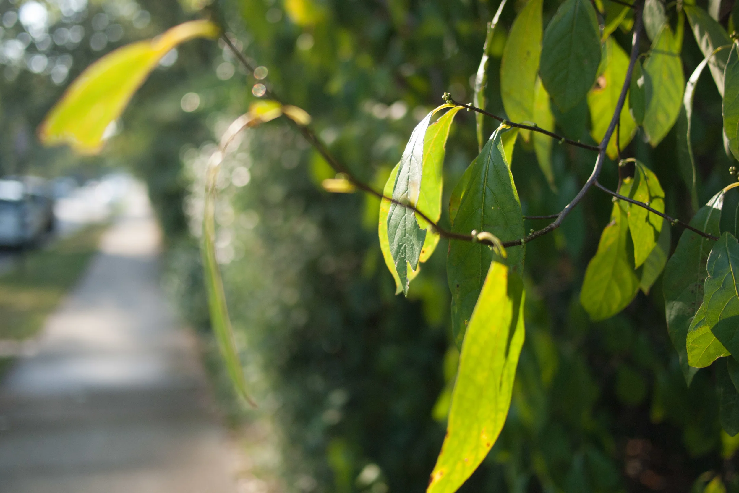 blog-9108538.jpg