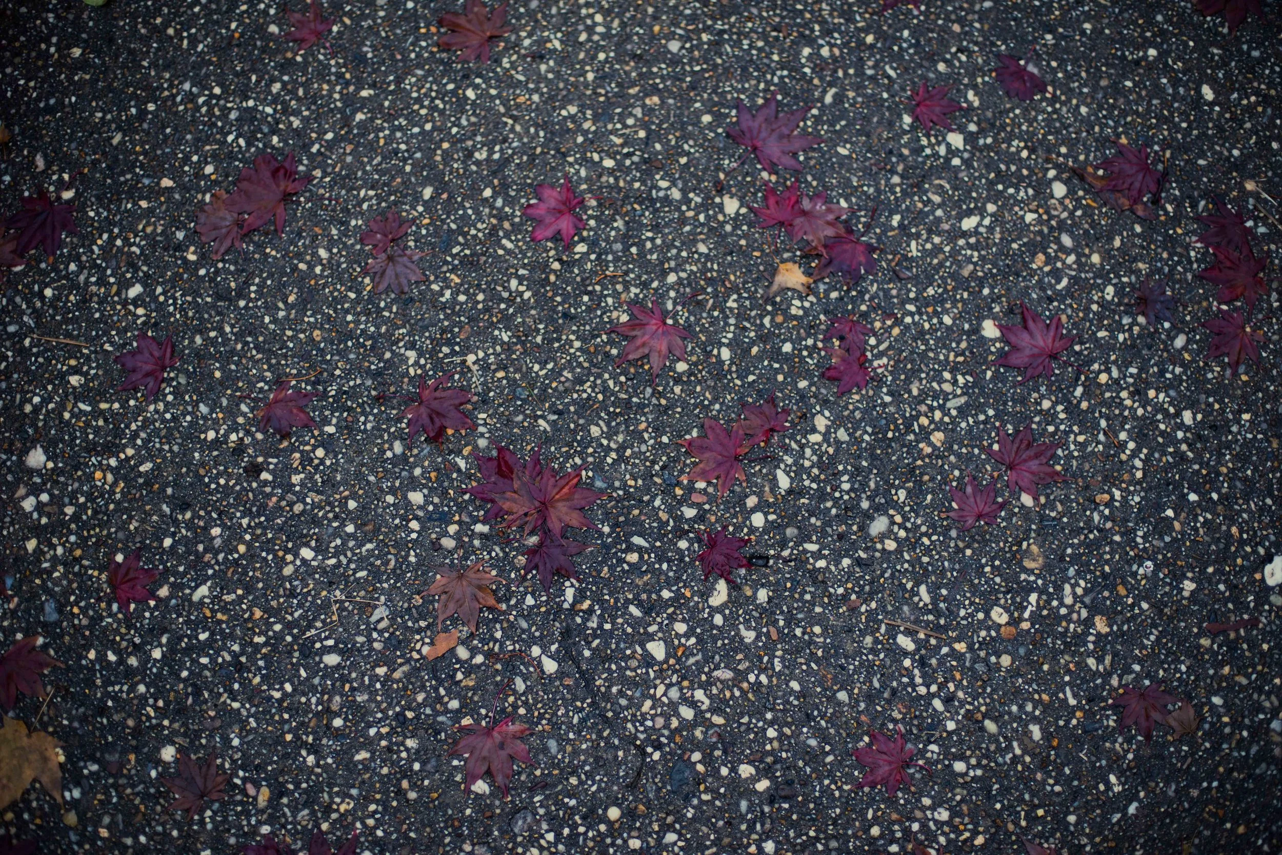blog-3570.jpg