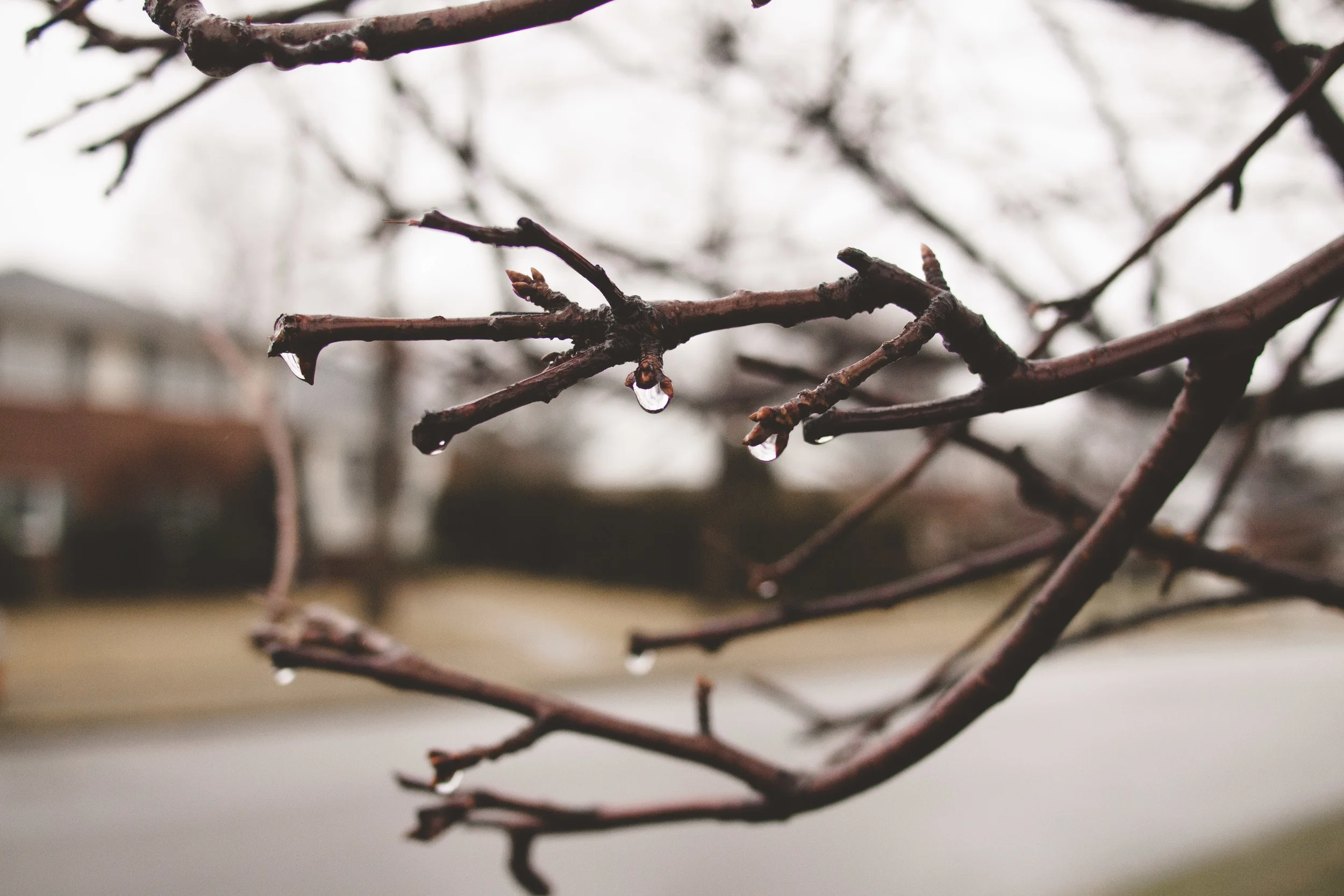 blog-1149004.jpg