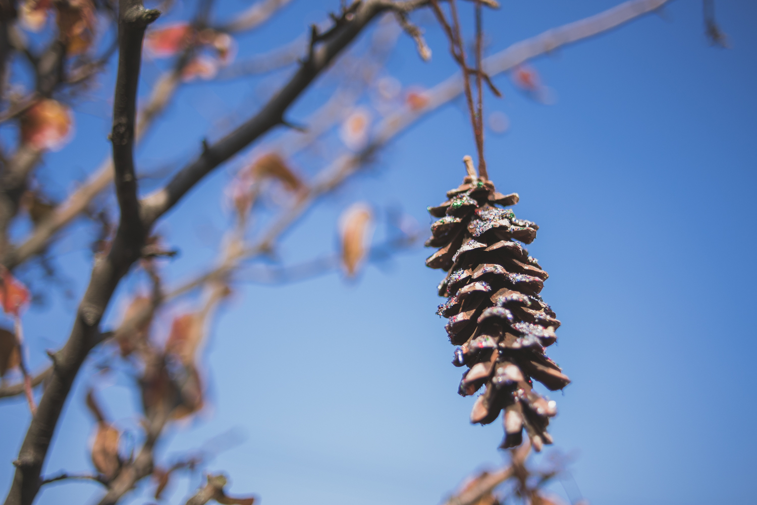 Glittery pine cones.