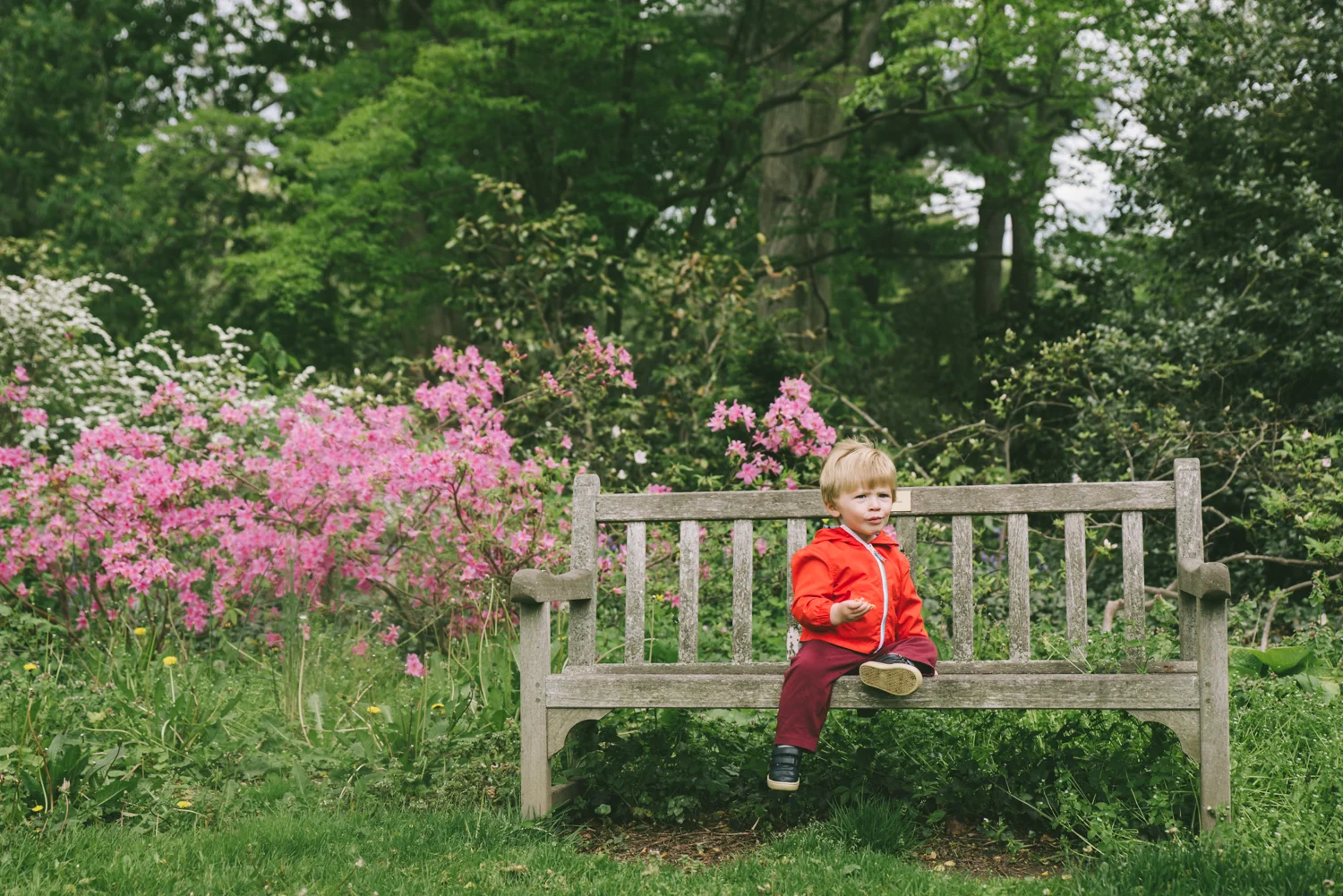 boy-on-bench-francesca-russell-photography-and-films-long-island-family-photographer.jpg