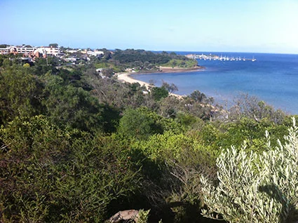 mills beach.jpg