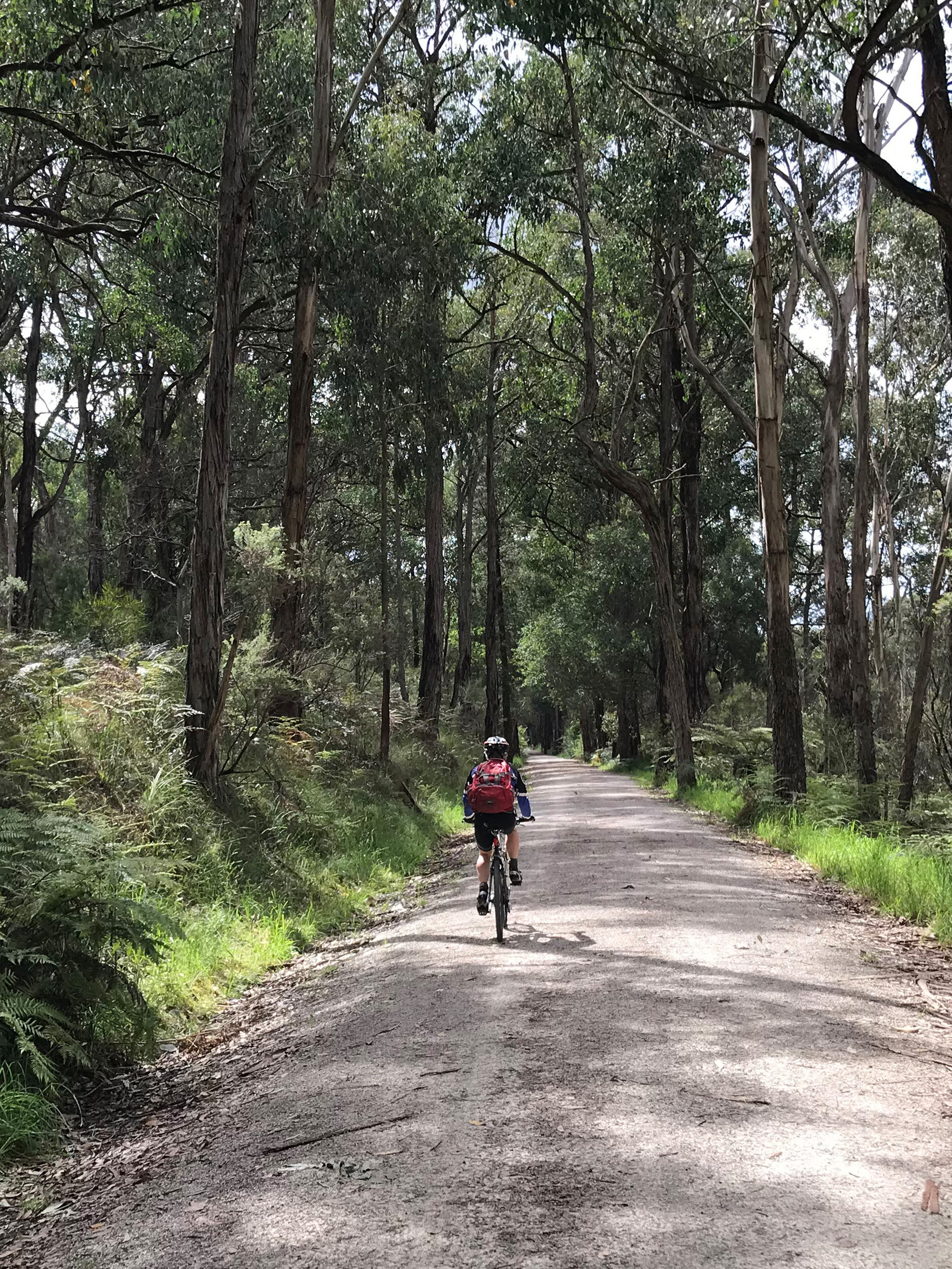 FFLA_Easttrail_01.jpg