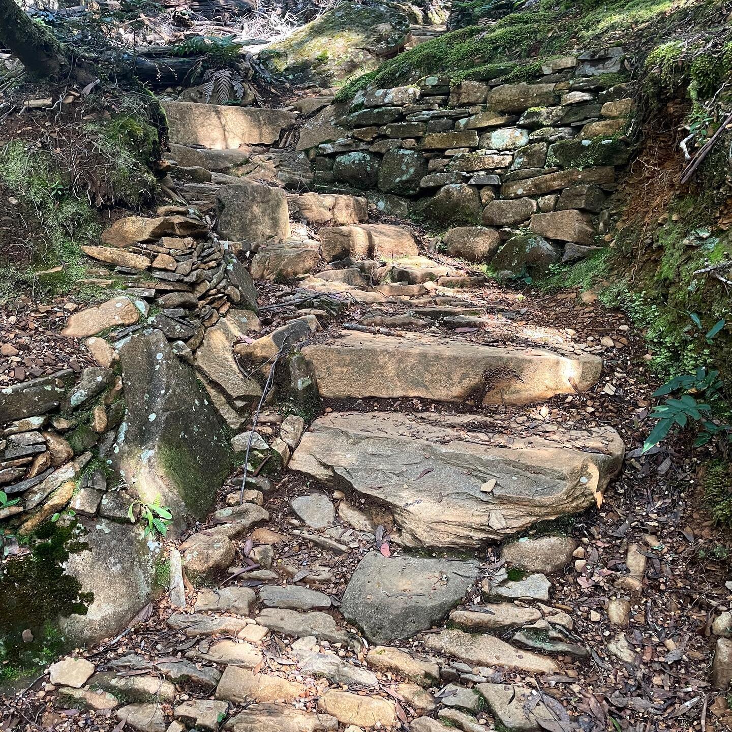 Recharging batteries and getting paving ideas on Higgs Track (Western Tiers, northern Tassie)