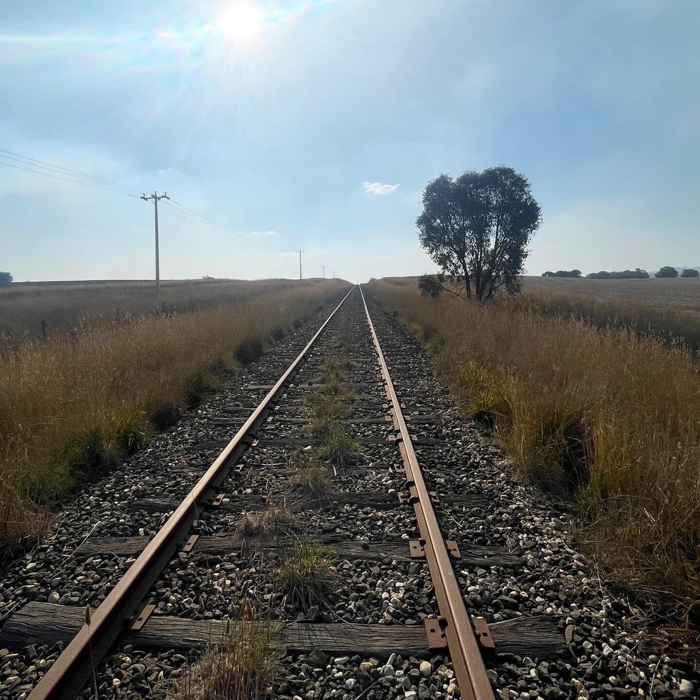 We rode over 30km of potential rail trail today along a disused rail line, checking things like the condition of bridges and road crossings. Unsurprisingly, riding a bike over railway sleepers turns out to be slow and very bumpy!