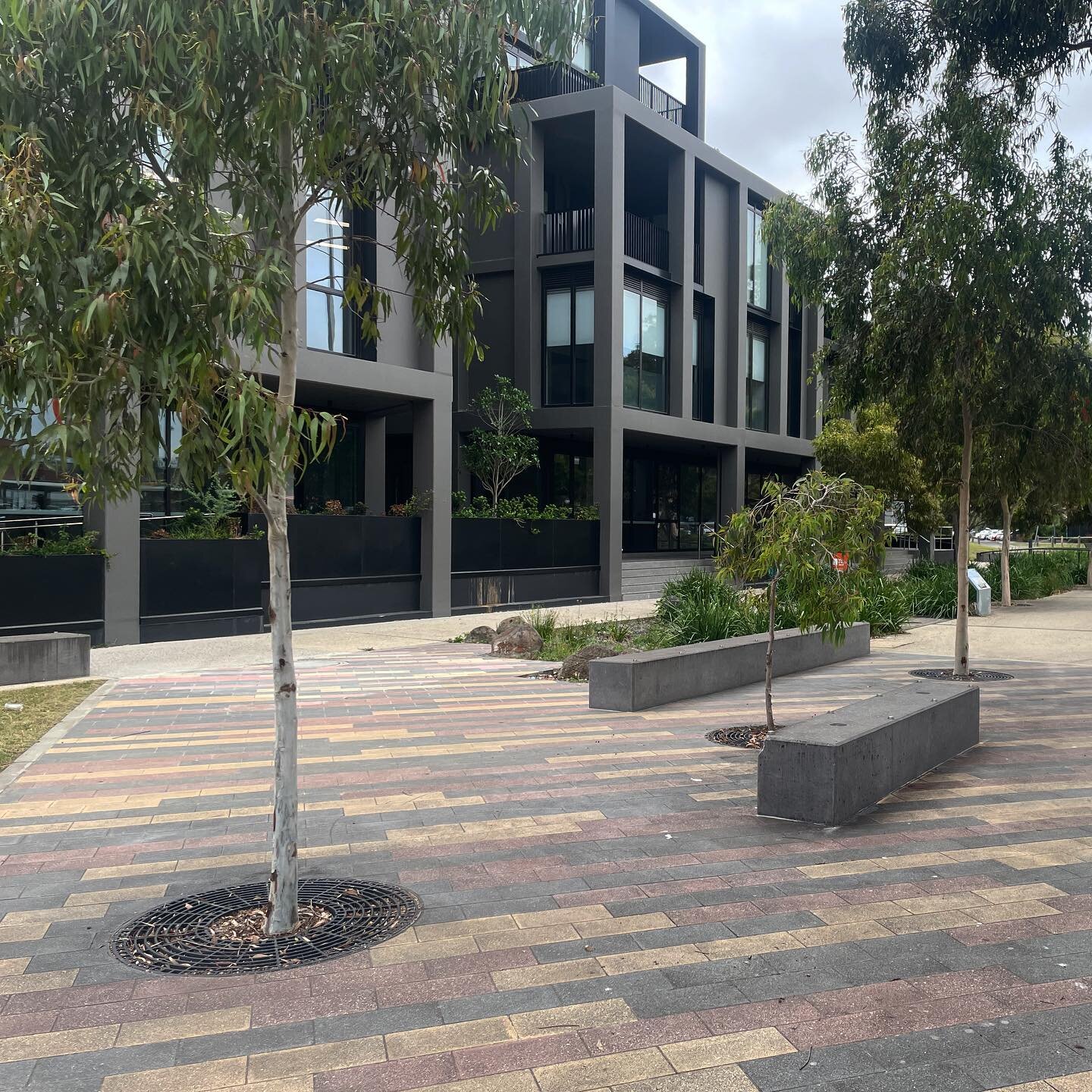 Today we revisited the Dawson Street Precinct in Sunshine, completed seven years ago. The project included the introduction of a creek-like linear rain garden along an overland flow path that marks the former alignment of the Stony Creek. Recently, t