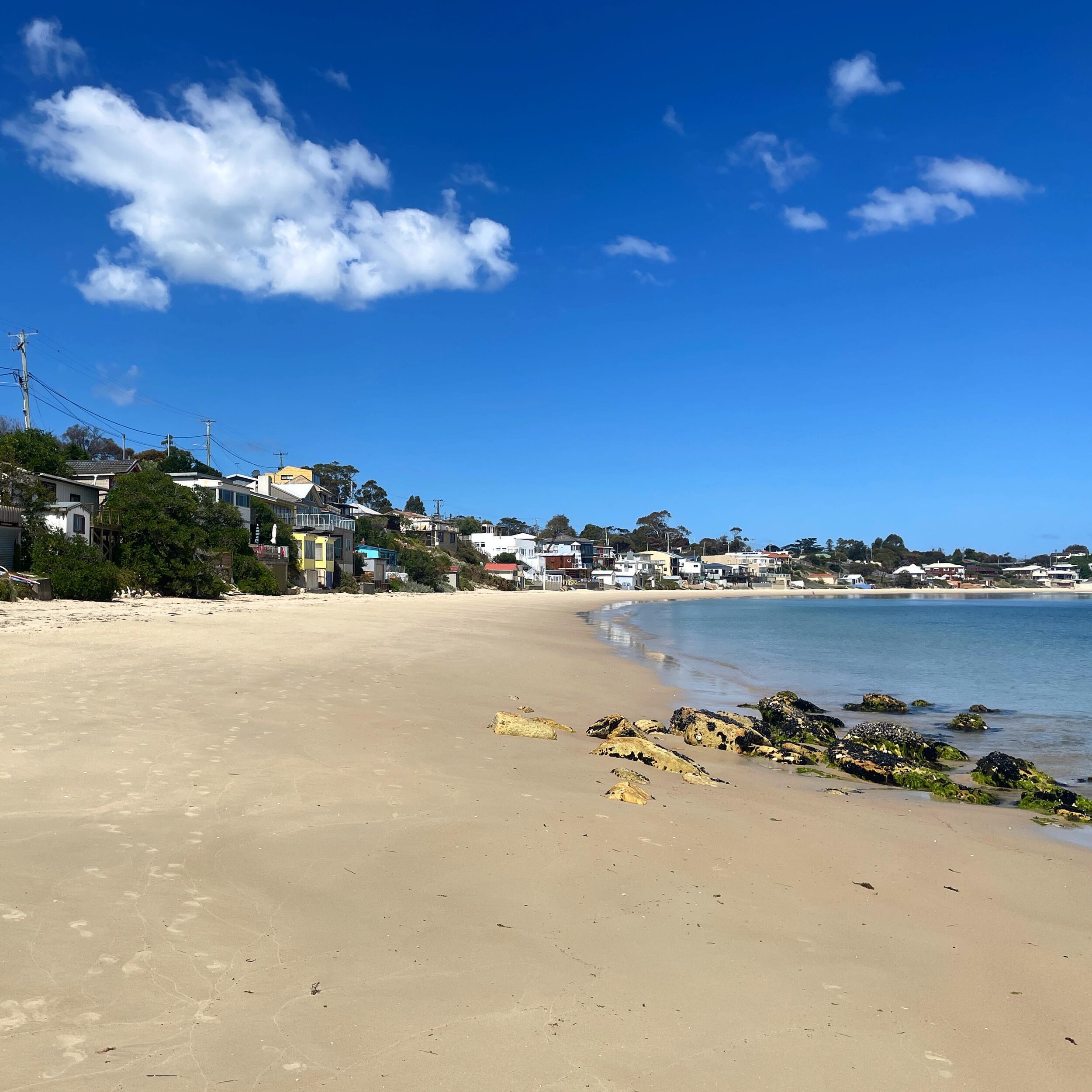 Last week we had the pleasure of spending a couple of days assessing beaches in glorious Tasmanian sunshine for a project we&rsquo;re currently working on. Including this one, Opossum Bay Beach, south of Hobart #landscapearchitecture
