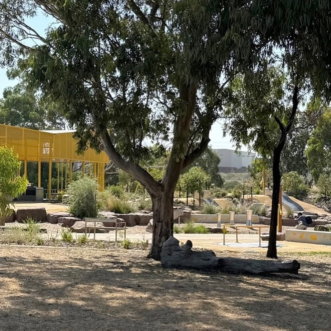 Existing trees providing shade and good vibes at Seabrook Reserve