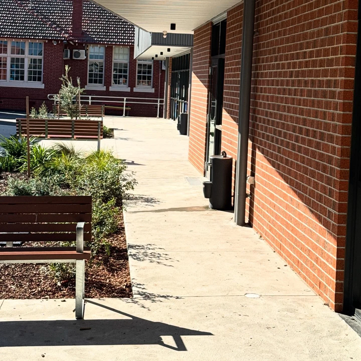 Revisiting Moorabbin Primary School to check on the plants around the new Learning Centre, one year after planting.
